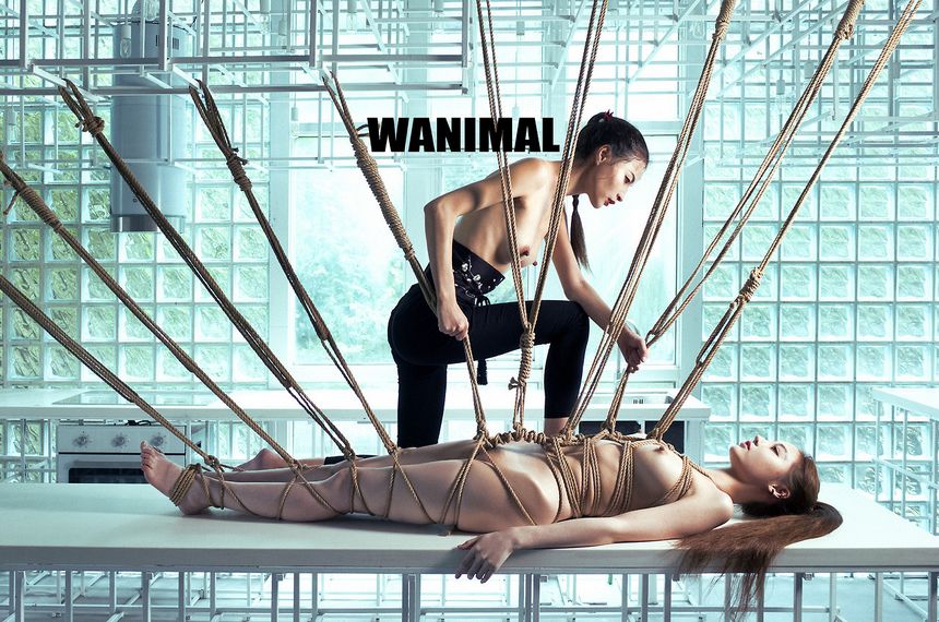 [112P] ڵ WANIMALƷ ͼ (ʮ) P.4